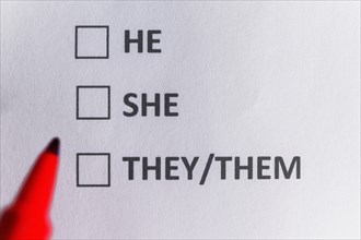Pen marking on personal pronoun and non binary gender checklist