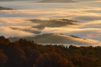 Ukraine, Zakarpattia region, Carpathians, Borzhava, Morning fog over mountain landscape