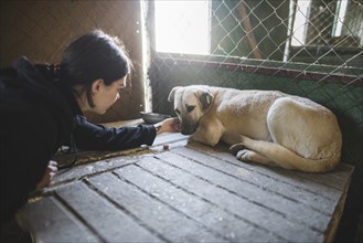 Young woman petting sad dog in animal shelter