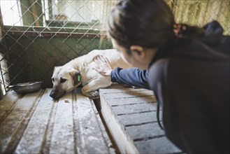 Young woman petting sad dog in the animal shelter
