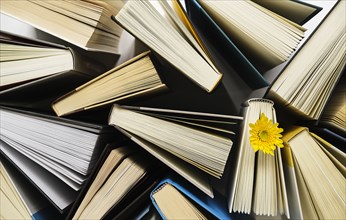 Books and yellow flower viewed from directly above