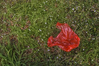 Red plastic bag on grass