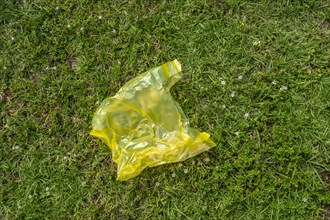Yellow plastic bag on grass