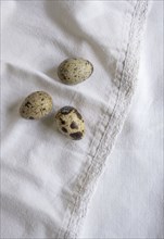 Bird eggs on white fabric