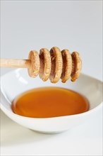 Honey dipper on bowl of honey