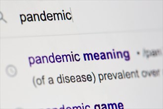 Internet search for 'pandemic'