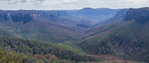Valley at Blue Mountains National Park in New South Wales, Australia