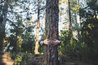 Man embracing tree in forest