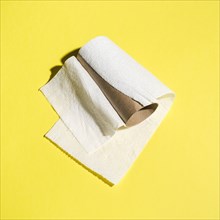 Used up roll of toilet paper on yellow background