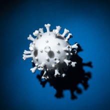 Model of white Coronavirus against blue background
