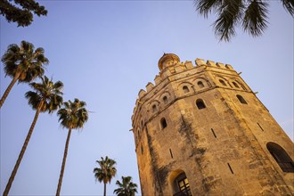 Spain, Seville, Torre Del Oro, Low angle view of Torre del Oro and palm trees
