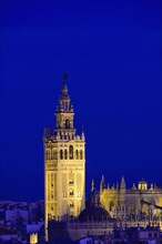 Spain, Seville, Giralda and Catherdral of Seville, Giralda tower at night