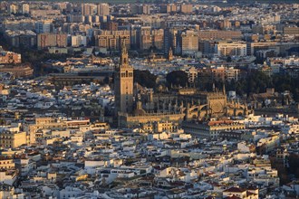 Spain, Andalusia, Seville, High angle view over cathedral and city