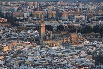 Spain, Andalusia, Seville, High angle view over Giralda Tower and Cathedral of Seville