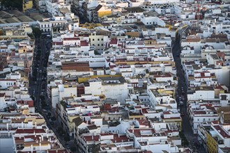 Spain, Seville, Triana, High angle view of Triana neighborhood
