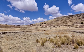 Peru, Sillustani, Scenic view of arid landscape