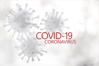 Coronavirus models with Covid-19 sign