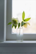 Spring flowers in glass bottle on window sill