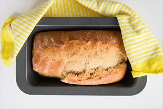 Loaf of freshly baked homemade bread