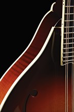 Close-up of mandolin
