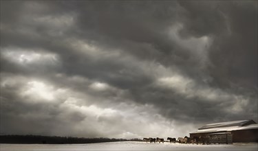 USA, Herd of horses at stormy day