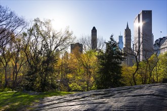 USA, New York, New York City, Rock and trees in Central Park