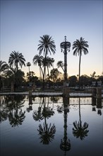 Spain, Seville, Palm trees reflecting in water at Plaza de America
