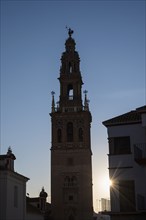 Spain, Carmona, San Pedro Church at sunset