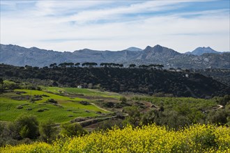 Spain, Ronda, Landscape with Sierra de Grazalema