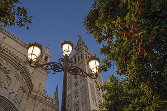 Spain, Seville, Low angle view of Giralda Tower and Seville cathedral at dusk