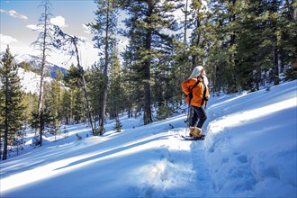USA, Idaho, Sun Valley, Woman snowshoeing in winter landscape
