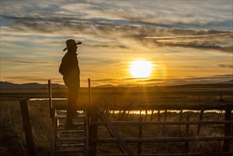 USA, Idaho, Bellevue, Cowboy standing on fence at sunset