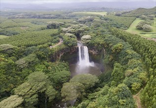 USA, Hawaii, Kauai, Waterfall in forest