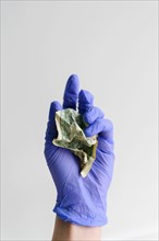 Studio shot of hand in latex glove holding crumpled dollar bill