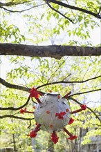 Coronavirus shaped pinata hanging from tree