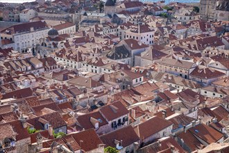 Croatia, Dubrovnik, Elevated view of red roofs