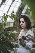 Ukraine, Crimea, Young woman holding plant in greenhouse