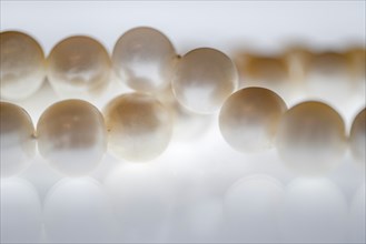 Close up of pearl necklace on white