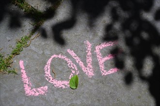 Word love written in chalk on city street,,