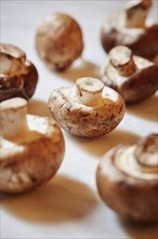 Portobello mushrooms on table,,