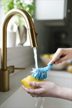 Woman washing lemon with brush