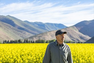 USA, Farmer standing in mustard field,
