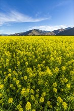USA, Idaho, Sun Valley