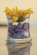 Glass vase with sunflower and pebbles
