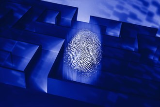 Blue maze with fingerprint