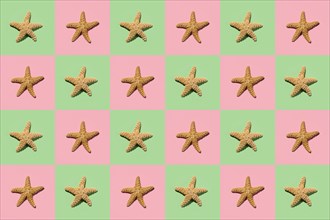 Graphic pattern of starfish on yellow and pink background