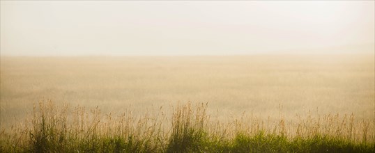 USA, South Dakota, Morning fog on prairie