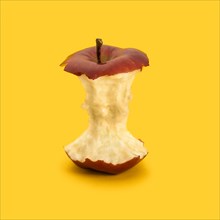 Core of red apple against yellow background
