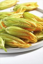 Squash blossoms on plate