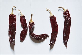 Dried chili peppers on white background